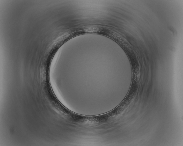 X0000113110303200909181634