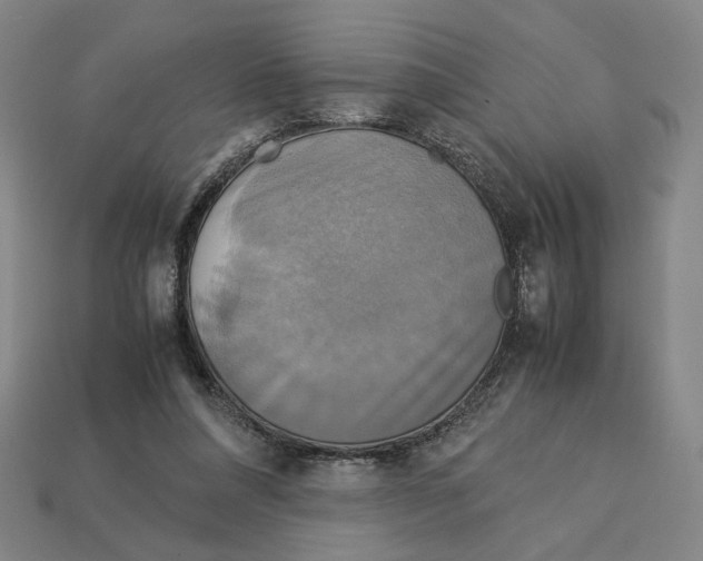 X0000113110304200909181634