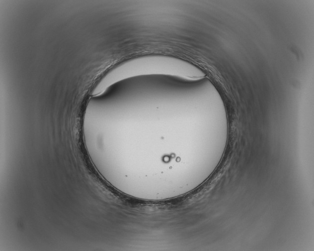 X0000113110305200909181634