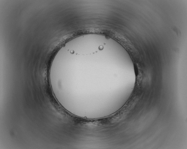 X0000113110306200909181634