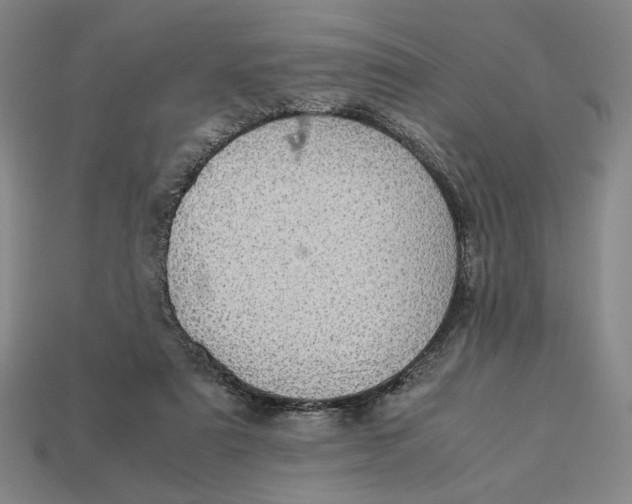 X0000113110307200909181634