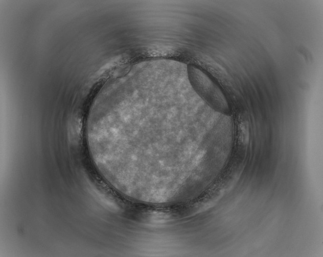 X0000113110308200909181634