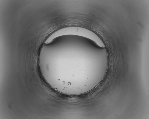 X0000113110309200909181634