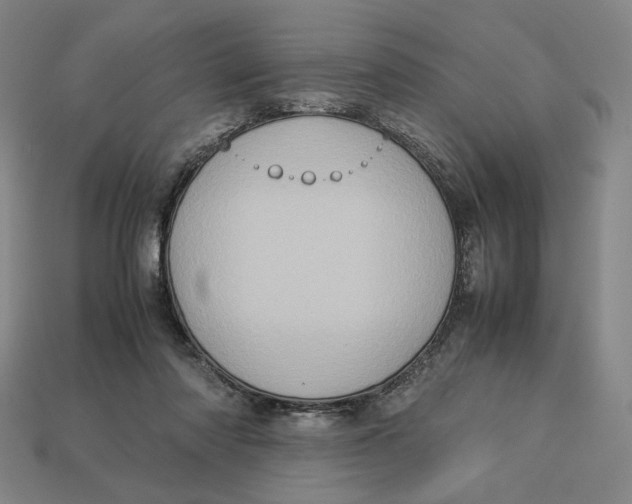 X0000113110310200909181634