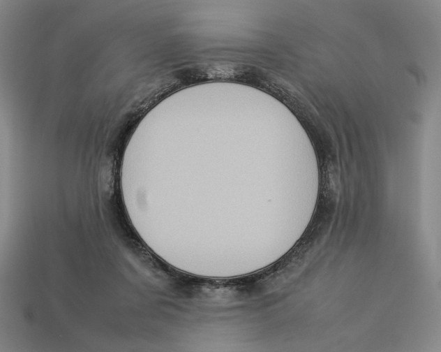 X0000113110311200909181634