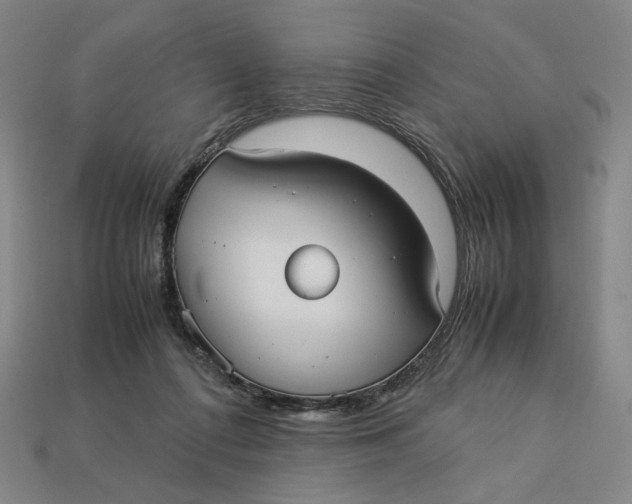 X0000113110312200909181634