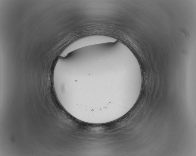 X0000113110313200909181634