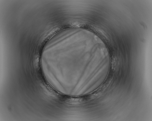 X0000113110314200909181634