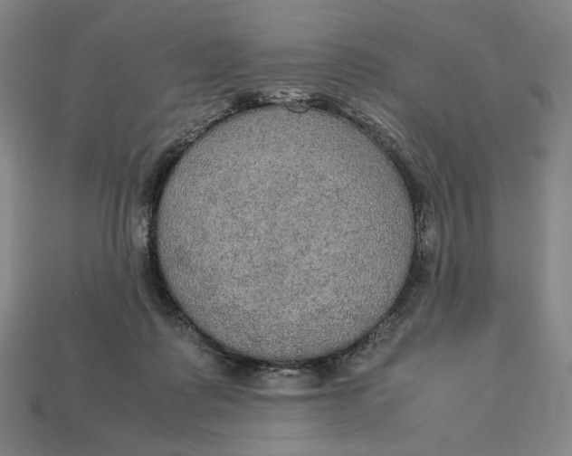 X0000113110315200909181634