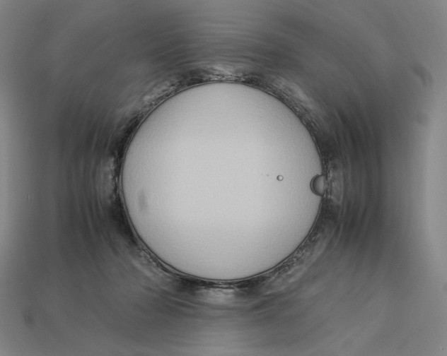 X0000113110318200909181634