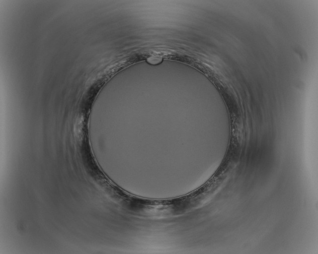X0000113110319200909181634