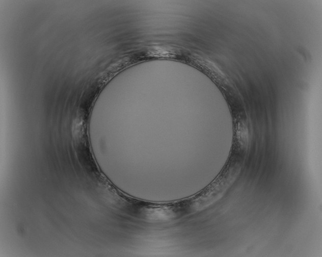 X0000113110322200909181634