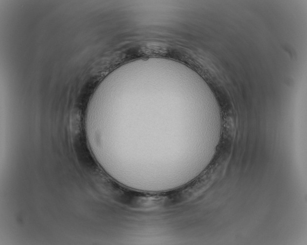 X0000113110323200909181634