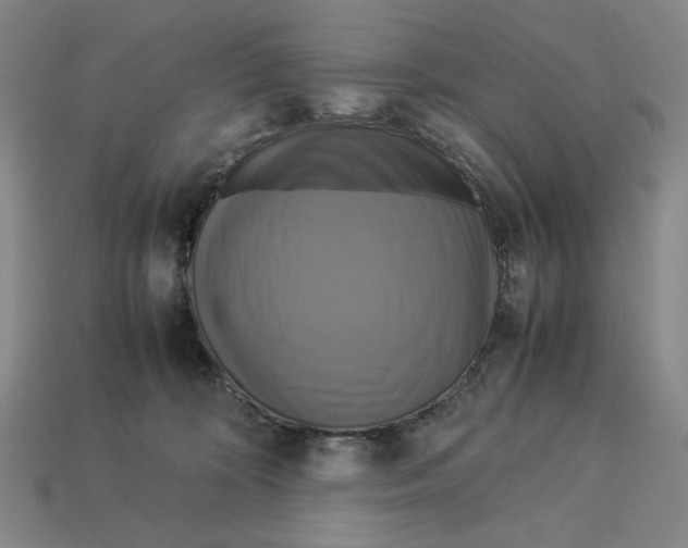 X0000113110324200909181634