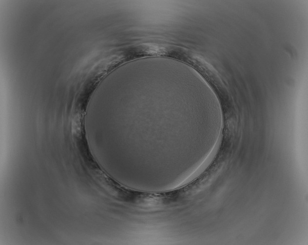 X0000113110325200909181634