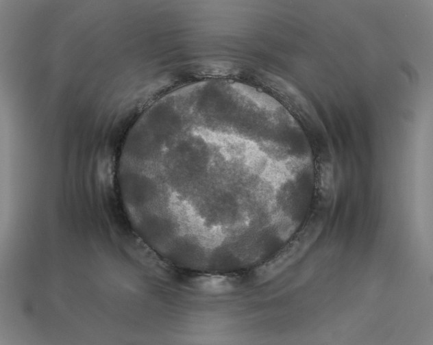X0000113110326200909181634