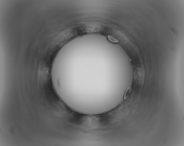 X0000113110327200909181633