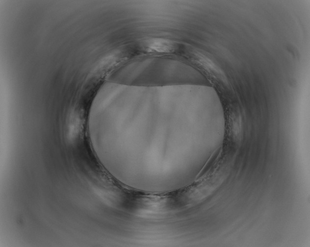 X0000113110328200909181633