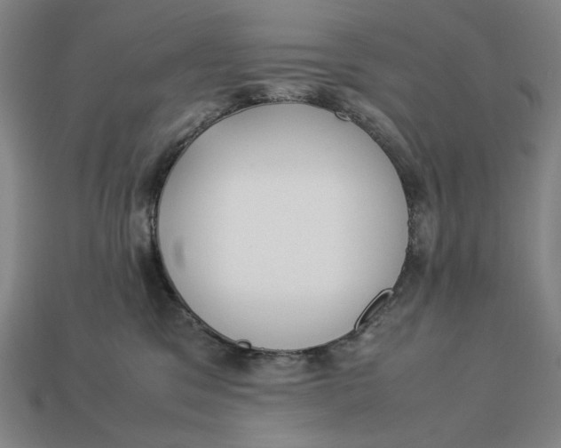 X0000113110329200909181633