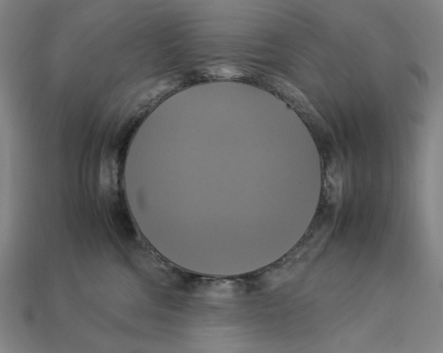 X0000113110330200909181633