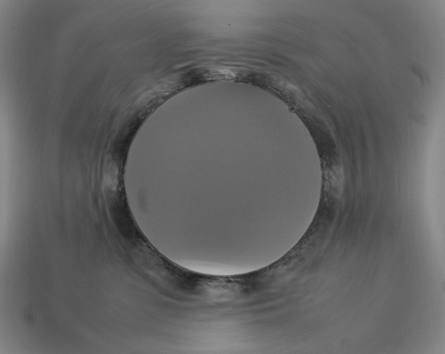 X0000113110331200909181633