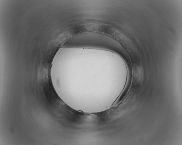 X0000113110333200909181633