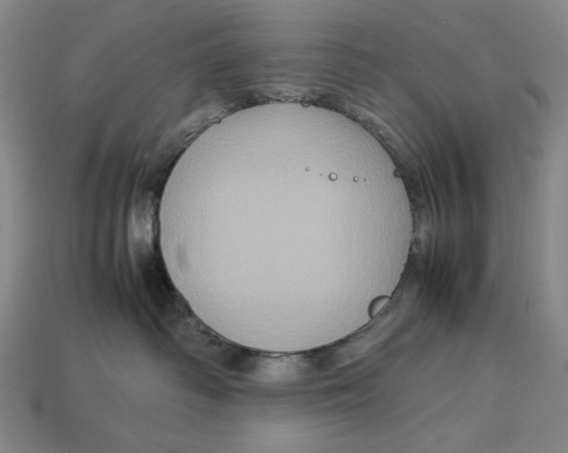 X0000113110334200909181633