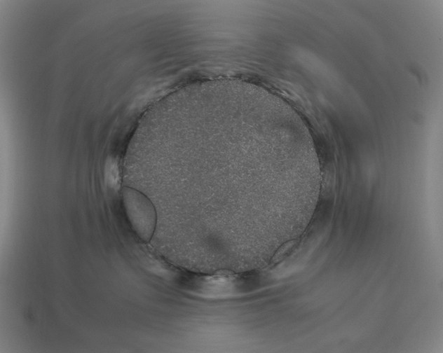 X0000113110335200909181633