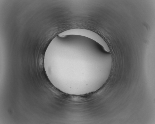 X0000113110336200909181633
