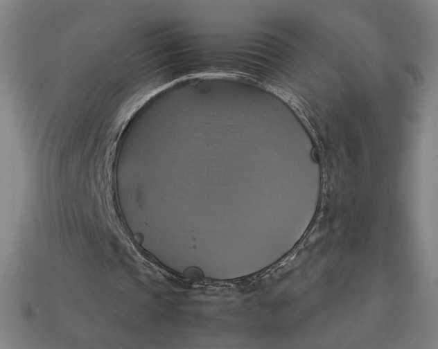X0000113110337200909181633