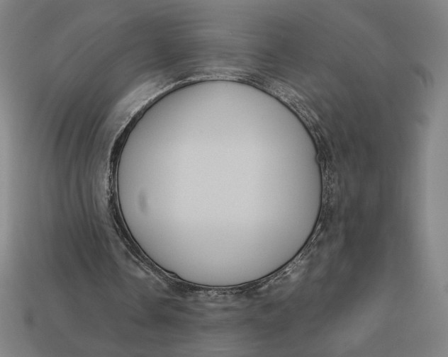 X0000113110338200909181633