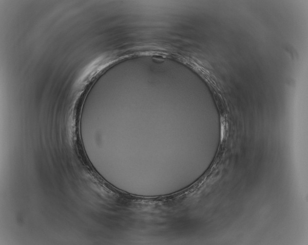 X0000113110339200909181633