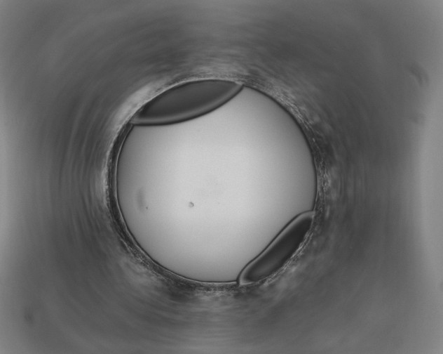 X0000113110340200909181633