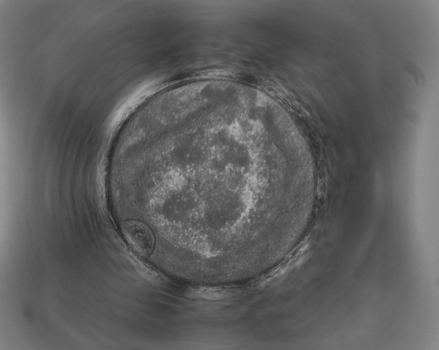 X0000113110341200909181633