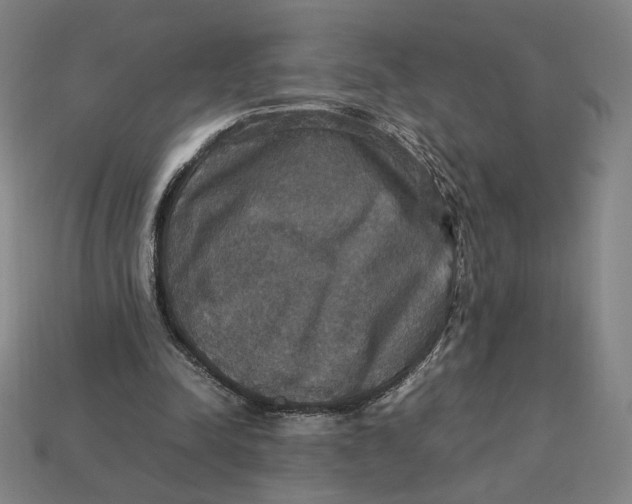 X0000113110342200909181633
