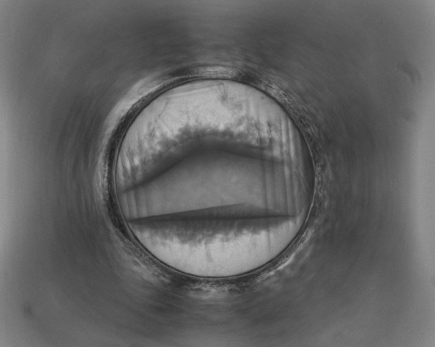 X0000113110343200909181633