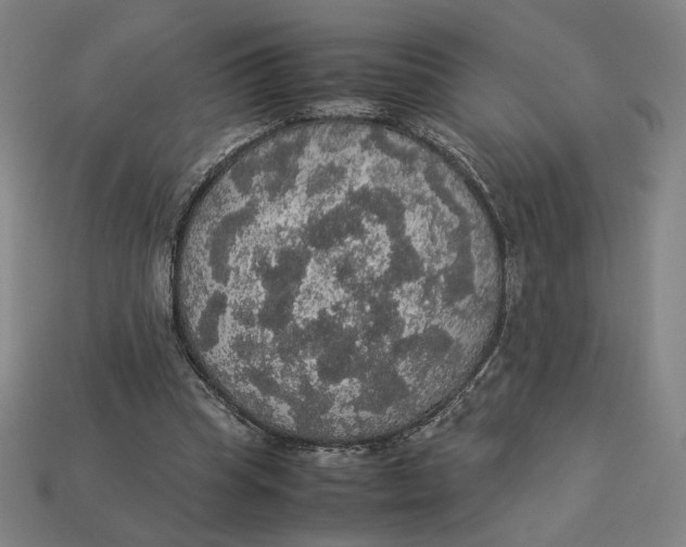 X0000113110345200909181633