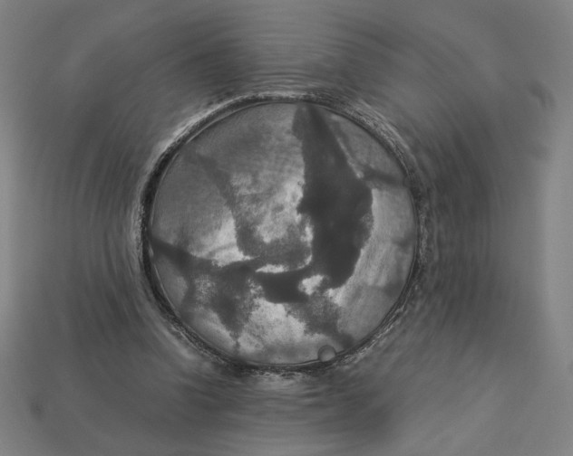 X0000113110346200909181633