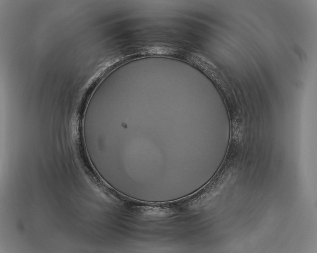 X0000113110347200909181633