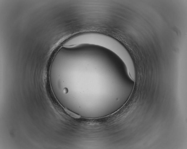 X0000113110348200909181633
