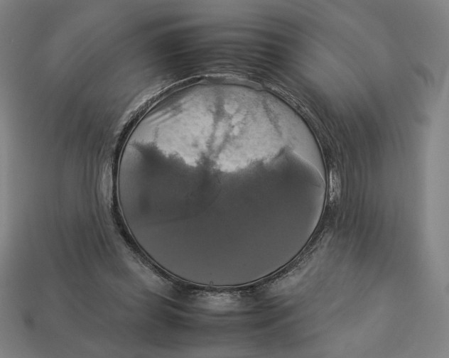 X0000113110349200909181633