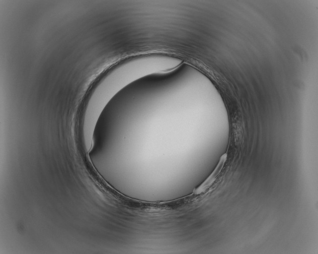 X0000113110350200909181633