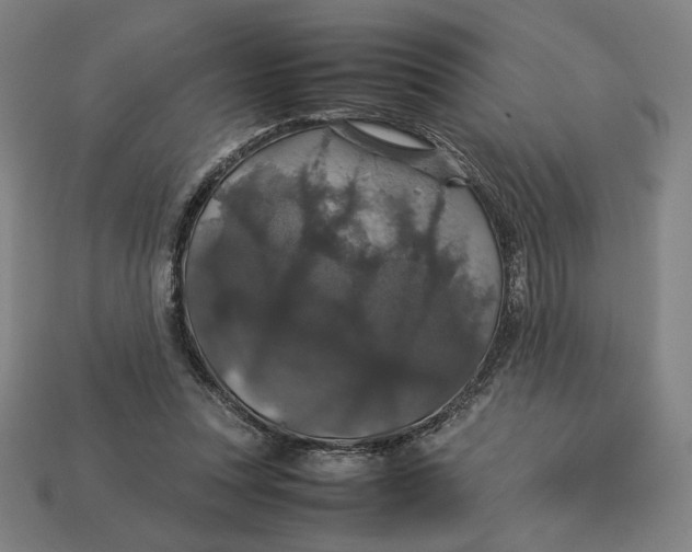 X0000113110351200909181633