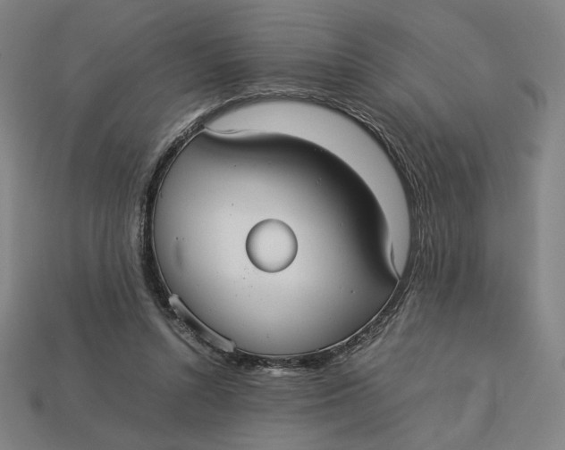 X0000113110352200909181633
