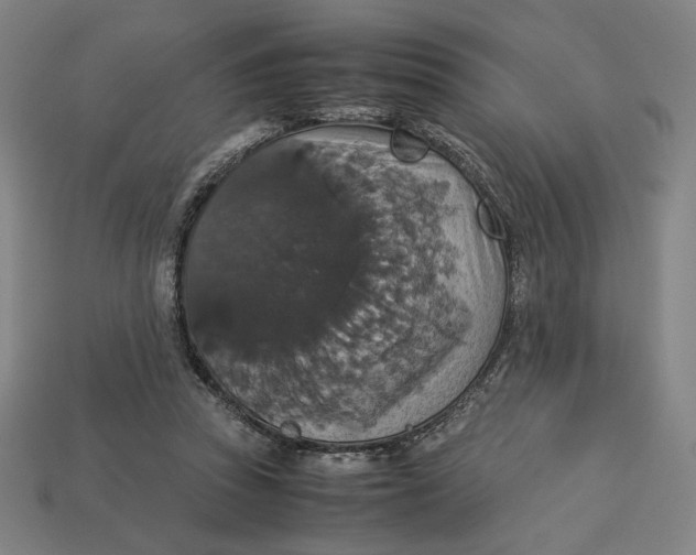 X0000113110353200909181633