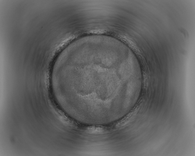 X0000113110354200909181633
