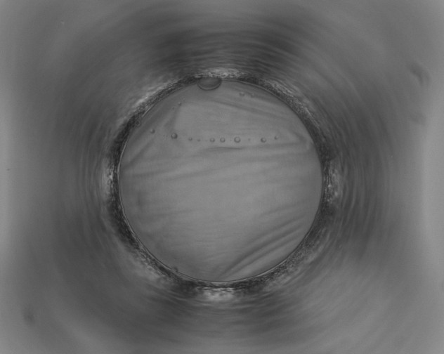 X0000113110355200909181633