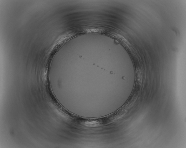 X0000113110357200909181633