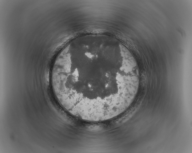 X0000113110358200909181633