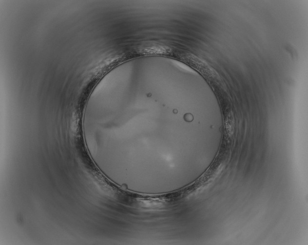 X0000113110359200909181633